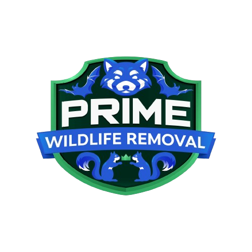 Wildlife Removal Columbus